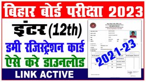 Bihar Board inter Dummy Registration Card 2023